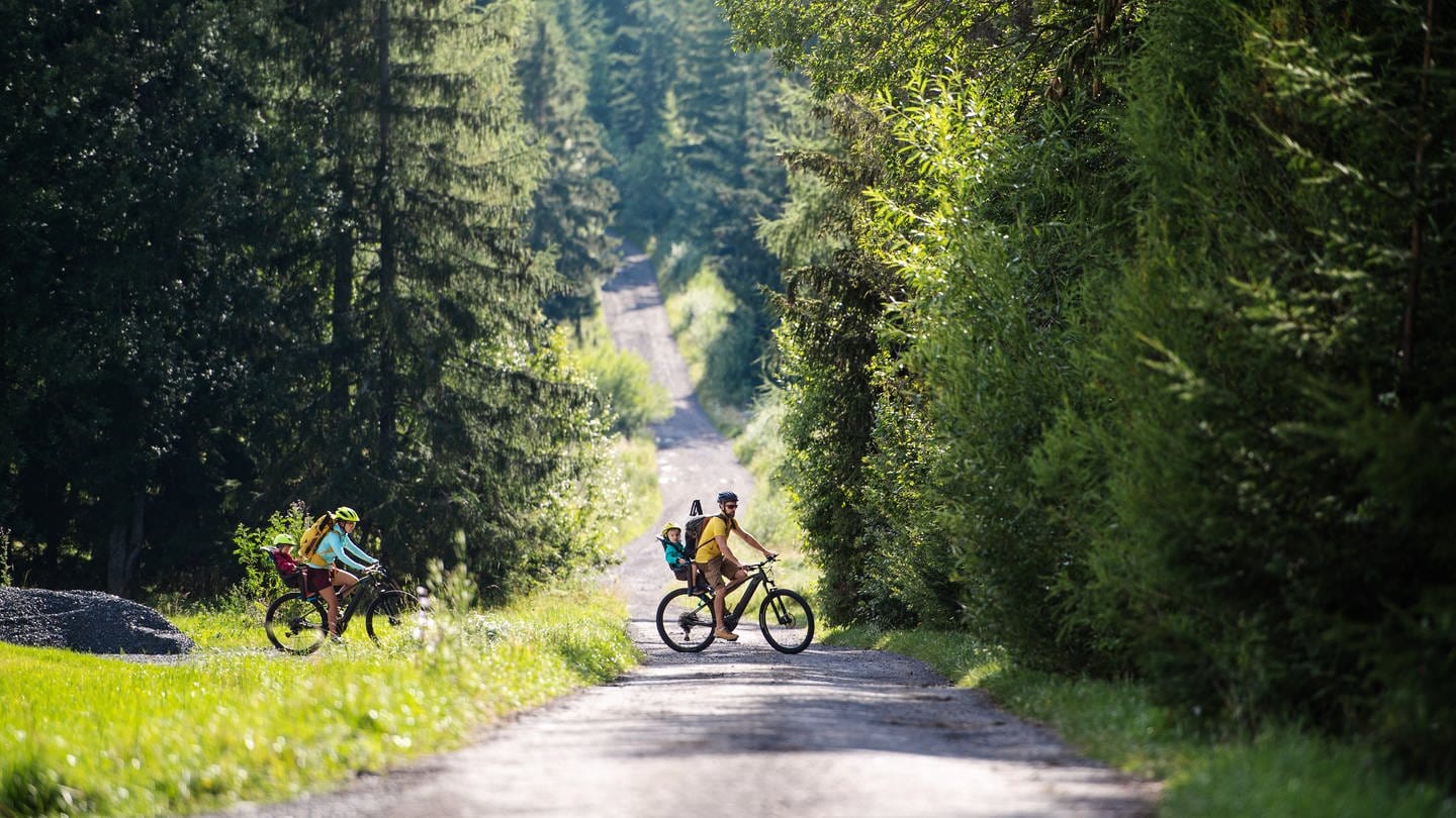 Zwei Radfahrer unterwegs im Wald - Radtour und Fahrrad (Foto: Colourbox)
