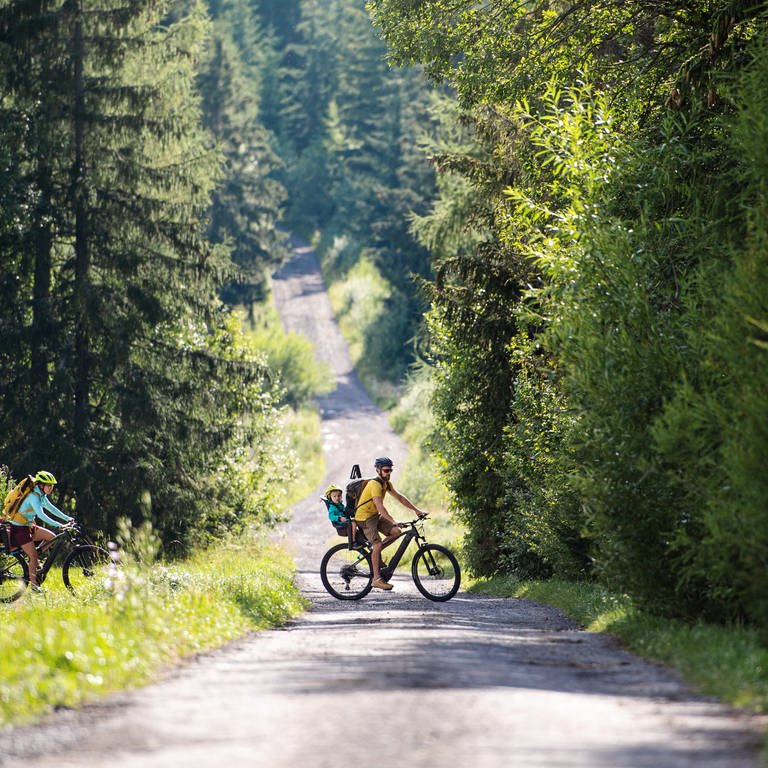 Zwei Radfahrer unterwegs im Wald - Radtour und Fahrrad