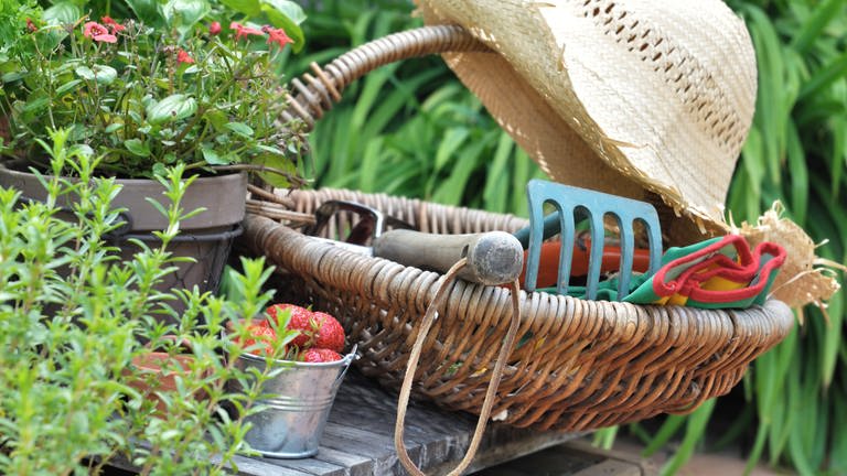 Utensielien für Gartenarbeit - Korb mit Gartengeräten, Strohhut, Obst- und Gemüsepflanzen