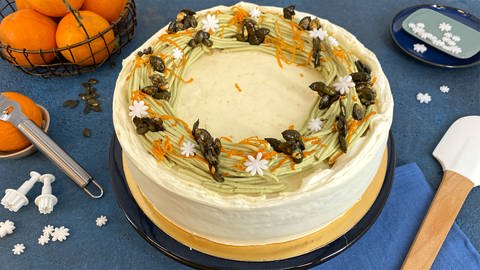 Kürbiskern-Orangen-Torte (Foto: SWR)