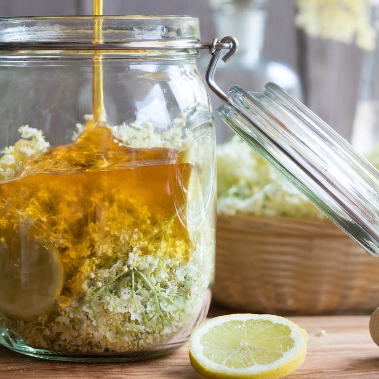 Holunderblüten, Honig und Zitrone in einem Glas (Foto: IMAGO, IMAGO / agefotostock)