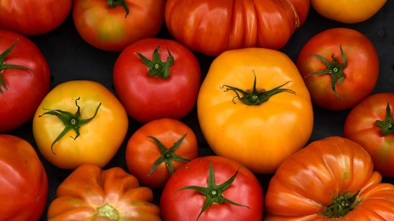 Tomaten in verschiedenen Variationen - z.B. Snacktomaten - sind des Deutschen liebstes Gemüse