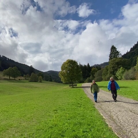 Biosphärengebiet Südschwarzwald (Foto: SWR)