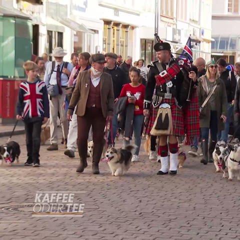 Corgi-Parade in Alzey (Foto: SWR, SWR)
