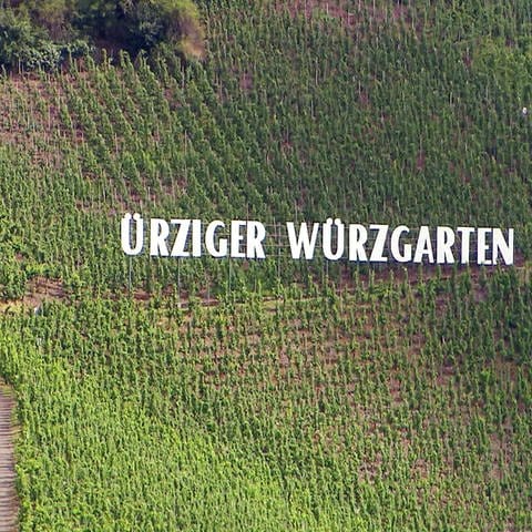 Ürziger Würzgarten (Foto: SWR)