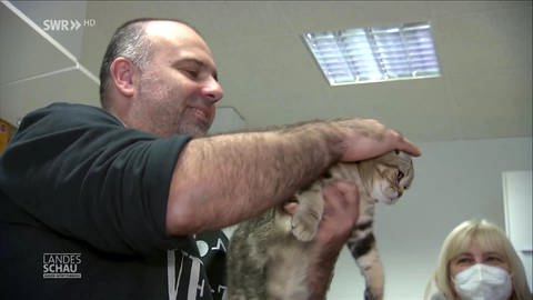 Tierarzt mit Katze (Foto: SWR)