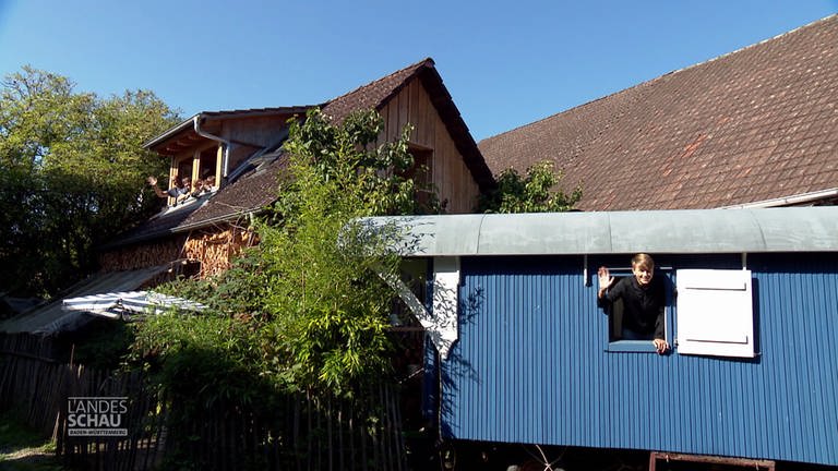 Zirkuswagen und Baumhaus (Foto: SWR)