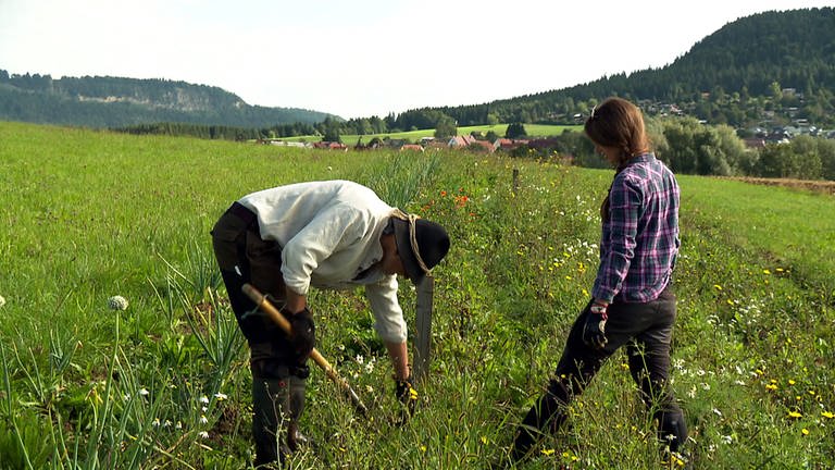 Retro-Bauern Jo Schreijäg und Anja Ströbel bei der Ernte