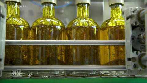 abgefüllte Ölflaschen (Foto: SWR)