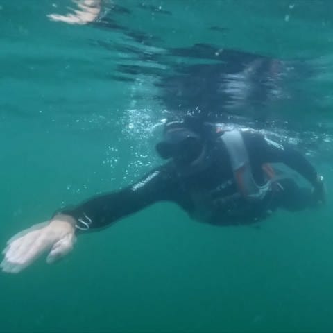 Nik Linder taucht quer durch den Untersee (Foto: SWR)