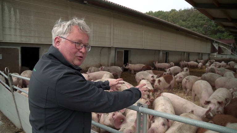 Biolandwirt Heiko Reinhardt steht vor seinem Schweinestall in Blaufelden (Foto: SWR)