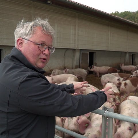 Biolandwirt Heiko Reinhardt steht vor seinem Schweinestall in Blaufelden (Foto: SWR)