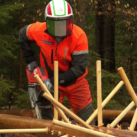 Vorbereitung auf die Waldarbeiter WM (Foto: SWR)