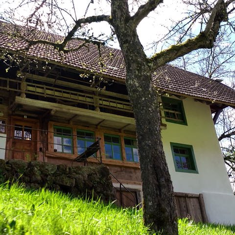 Altes Bauernhaus in Oberprechtal im Schwarzwald  (Foto: SWR)