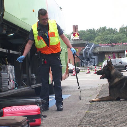 Ein Zollbeamter mit Warnweste und seinem Schäferhund kontrolliert einen Reisebus (Foto: SWR)