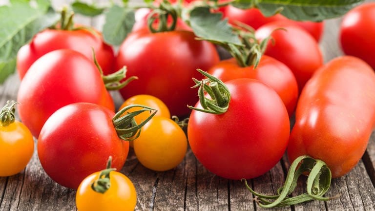 Verschiedene Tomatensorten (Foto: IMAGO, imago images / Panthermedia)