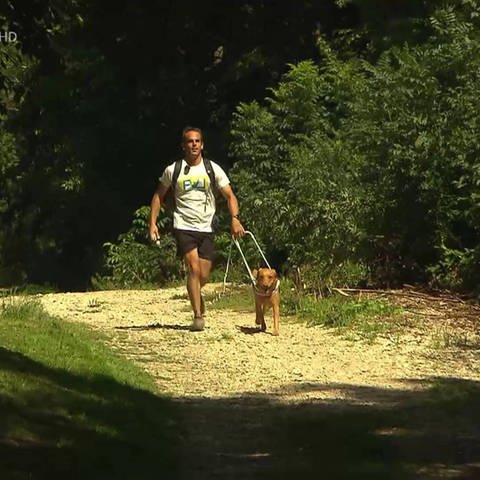 Blinder Mann mit seinem Blindenhund (Foto: SWR)