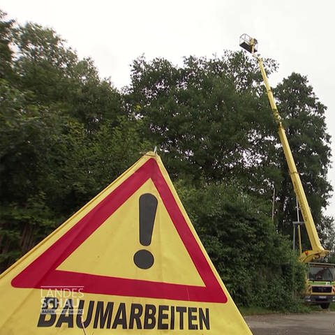 Warnhinweis vor Baumarbeiten (Foto: SWR)
