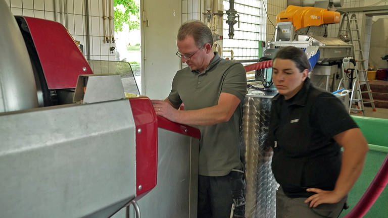Zwei Mitarbeiter stehen an einer Weinpresse im Weingut Graf Adelmann in Kleinbottwar (Foto: SWR)