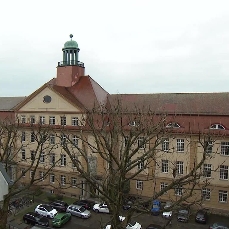 KI soll Krähen-Problem an Ludwigsburger Schule lösen (Foto: SWR)
