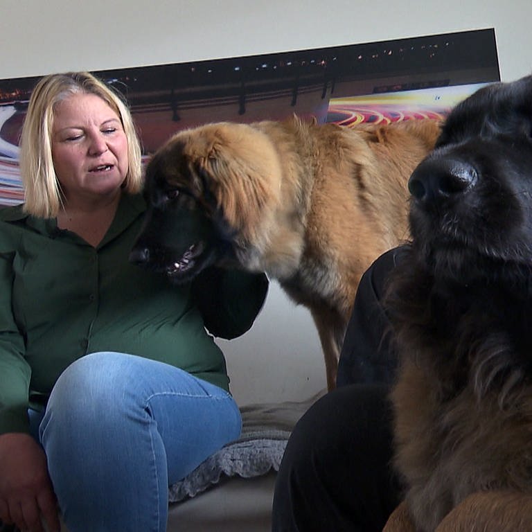 Familie Kaisser sitzt mit zwei Leonberger Hunden auf dem Sofa (Foto: SWR)