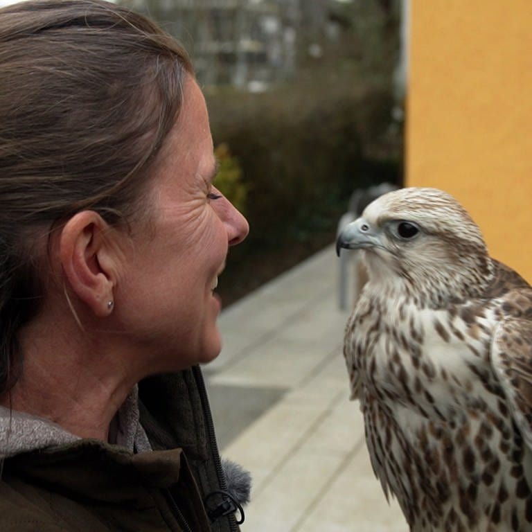 Falknerin Elke Rogge und ihr Falke Smilla (Foto: SWR)