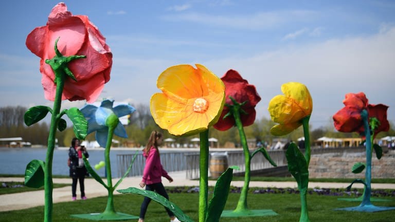 Besucher der Landesgartenschau zwischen einem Kunstwerk aus Blumen (Foto: picture-alliance / Reportdienste, picture-alliance / dpa - Patrick Seeger)