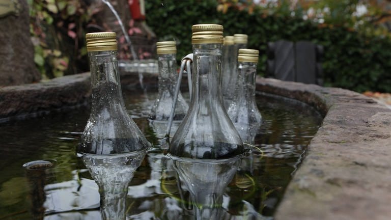 Glasflaschen in Wasser in Schnapsbrunnen (Foto: IMAGO, Imago)