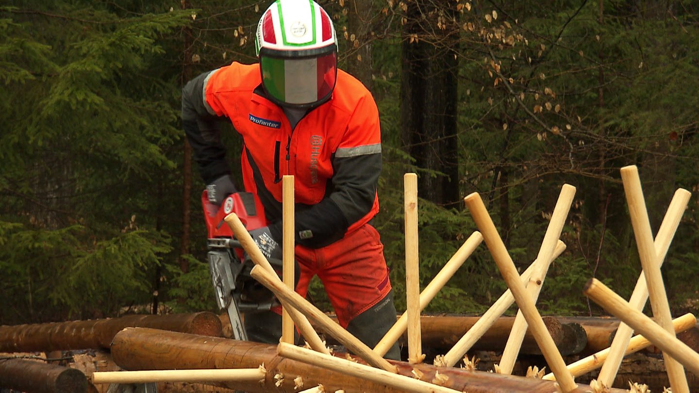 Vorbereitung auf die Waldarbeiter WM (Foto: SWR)
