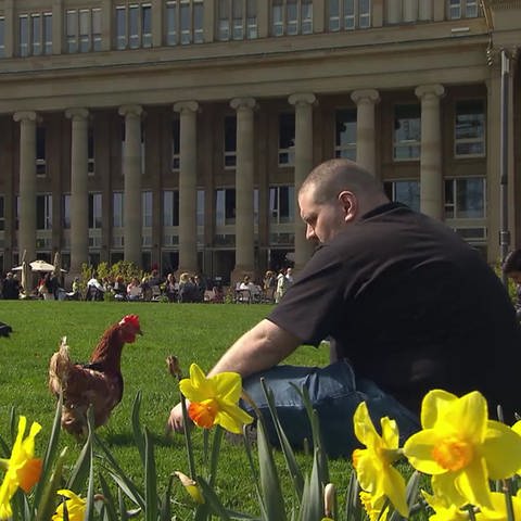 Mann mit Huhn in Park
