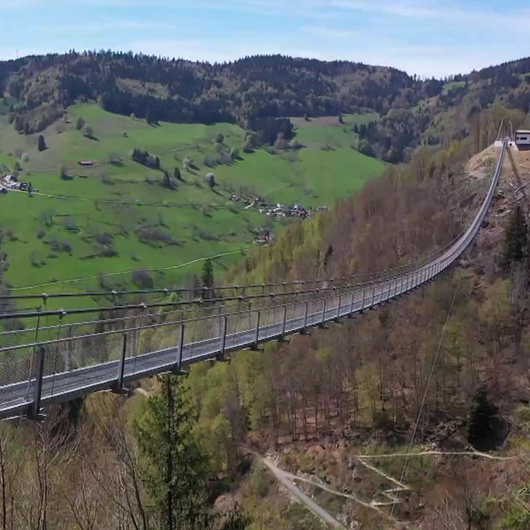 Hängebrücke in Todtnauberg