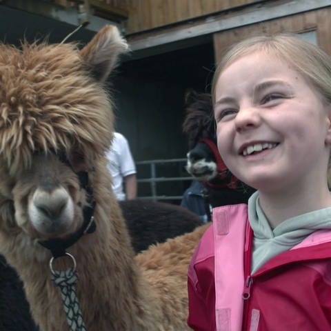 Junges Mädchen lächelt neben Alpaka