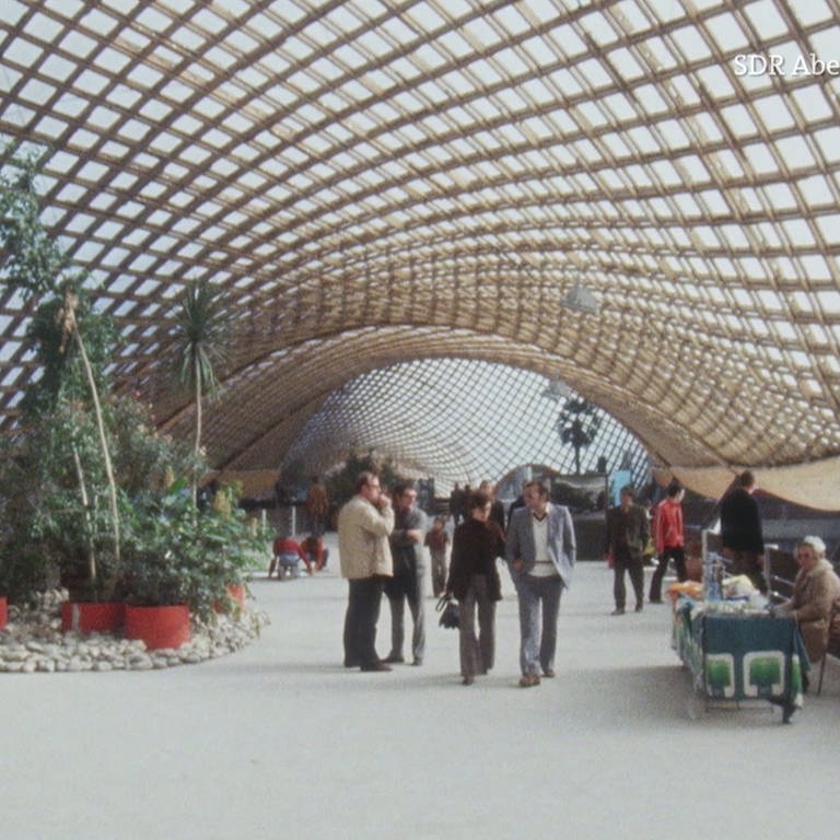 Der Herzogenriedpark in den 70er Jahren