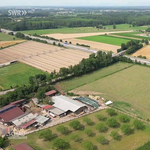 Ausbau der Rheintalbahn bedroht Erlebnis-Bauernhof