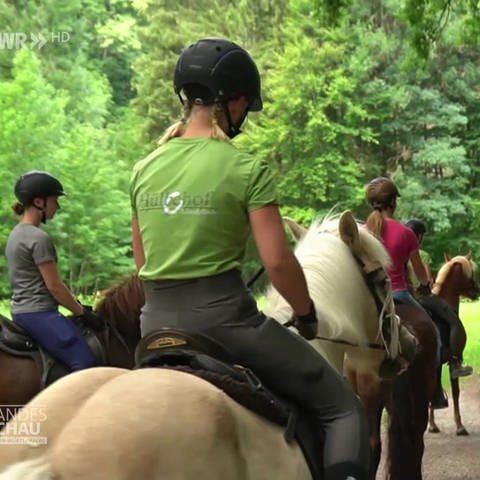 Kinder reiten auf Ponys (Foto: SWR)