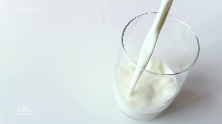 Milch und Milchalternativen