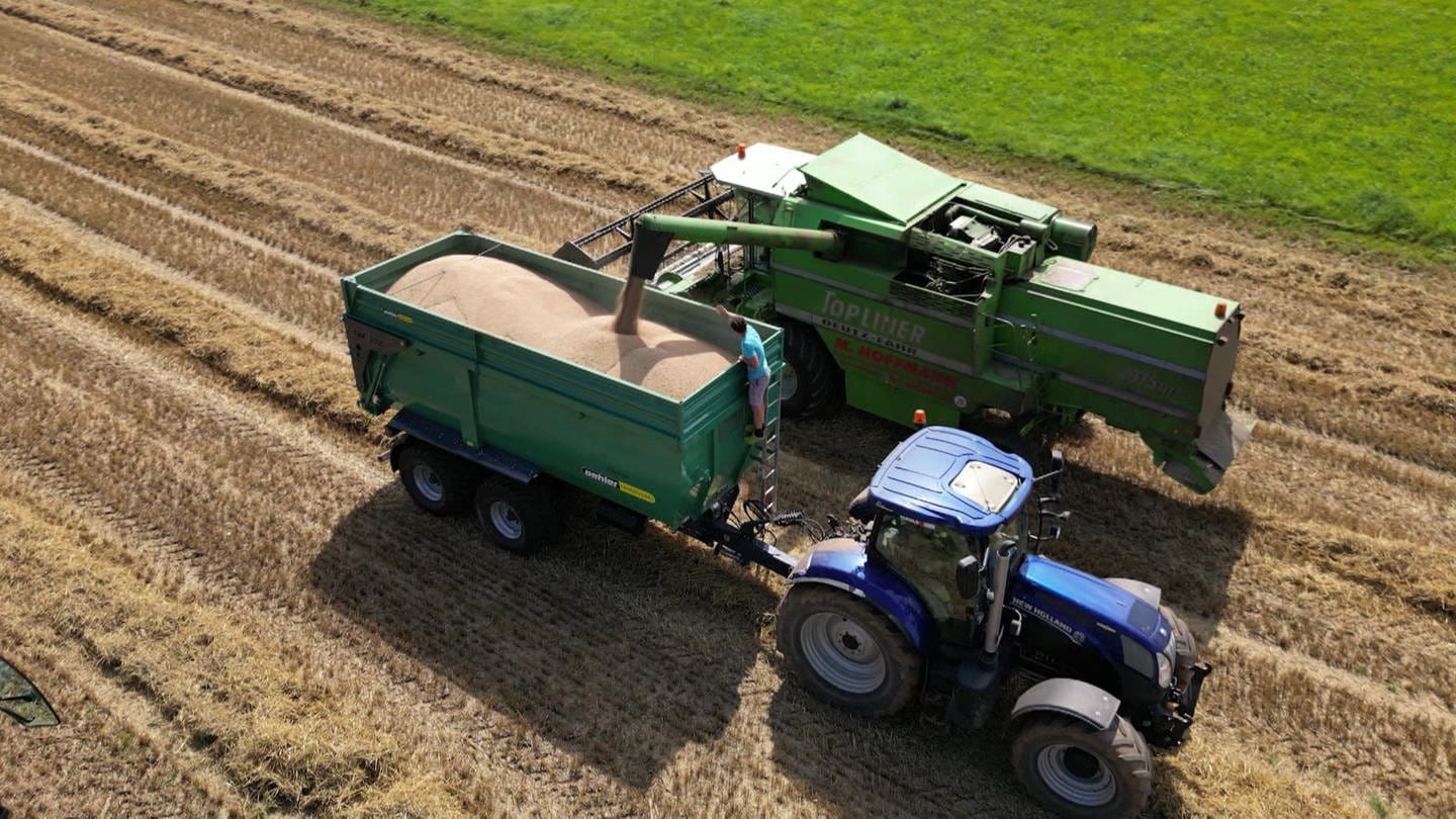 Traktor erntet Getreide (Foto: SWR)