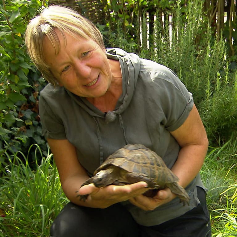 Frau hält eine Schildkröte auf der Hand