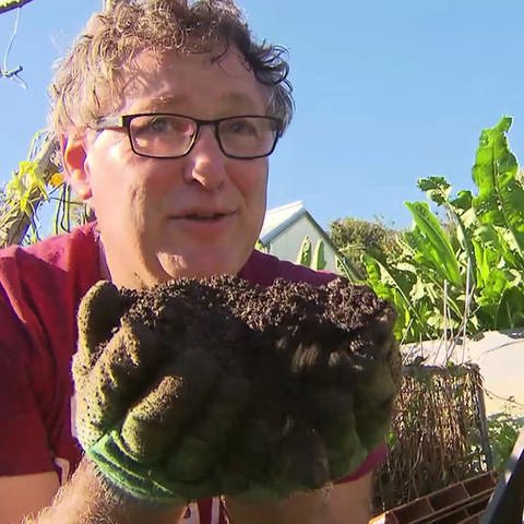 Mann mit Kompost in der Hand