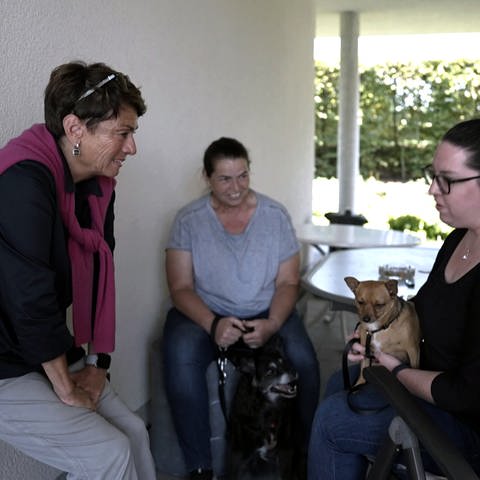 Sonja Faber-Schrecklein im Gespräch mit zwei Frauen im Tierheim Heilbronn