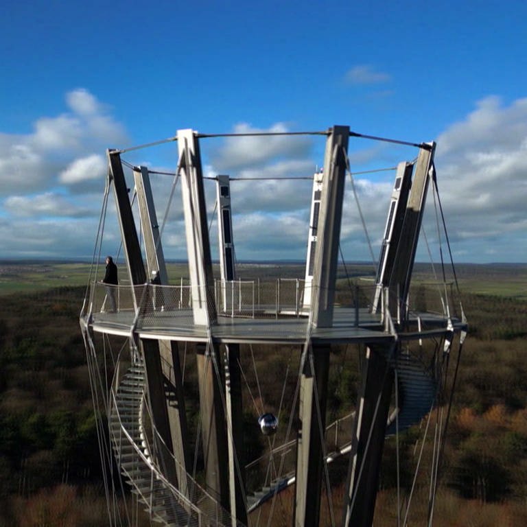 Der Schönbuchturm im Wald ist von oben zu sehen.  (Foto: SWR)