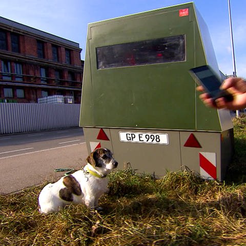 Vor einem mobilen Blitzer in Eislingen sitzt ein Hund (Foto: SWR)