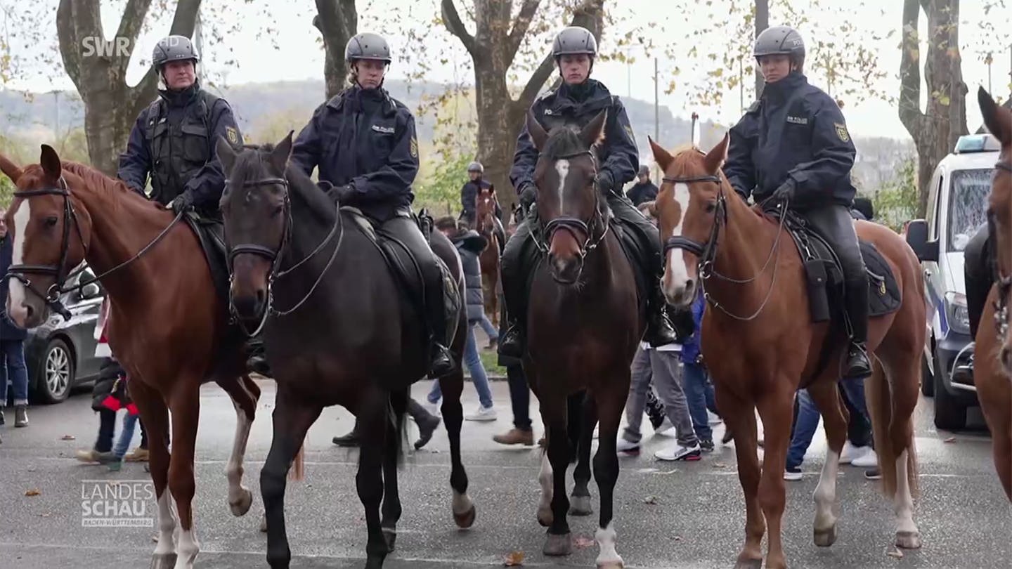 Polizei-Pferdestaffel (Foto: SWR)