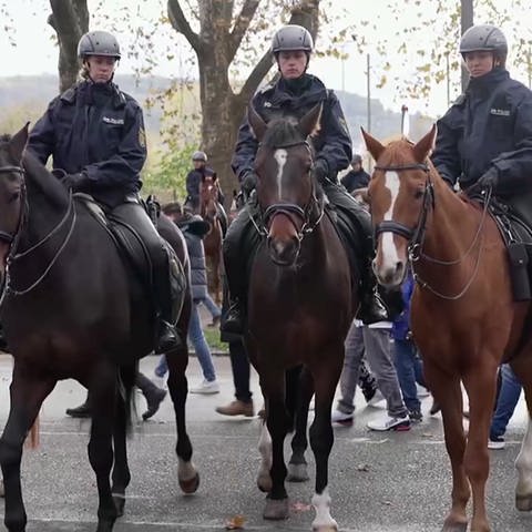 Polizei-Pferdestaffel