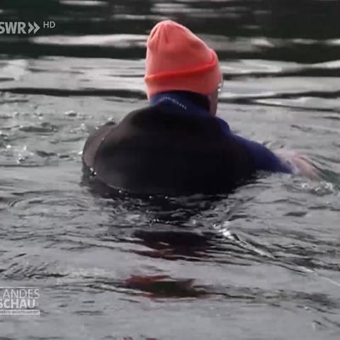 Mann schwimmt mit Mütze im Rhein
