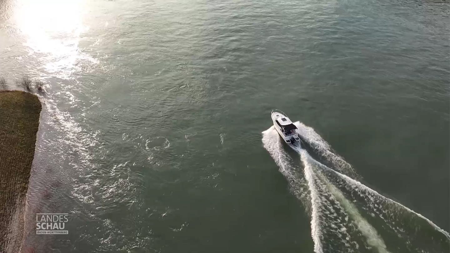 Vogelperspektive: Sportboot fährt über Wasser (Foto: SWR)
