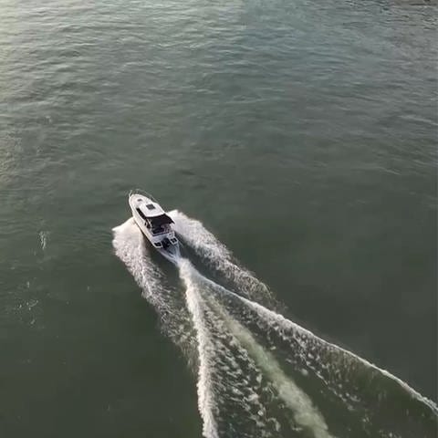 Vogelperspektive: Sportboot fährt über Wasser