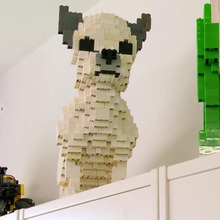 Der Lego-Künstler (Foto: SWR)