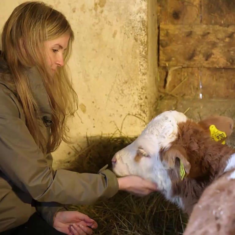 Verena Kienle streichelt ene Kuh (Foto: SWR)