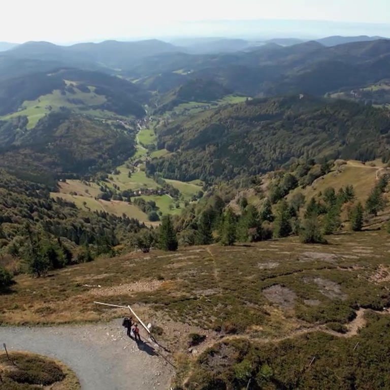 Ausblick auf den Schwarzwald aus der Vogelperspektiv.